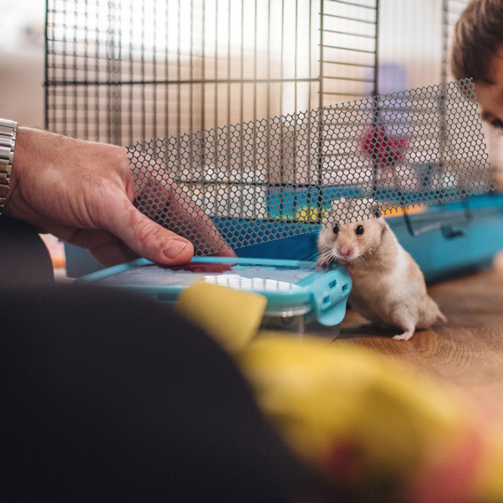 NOLITOY Sandy Trimmer Strips - Pet Nail Trimmer for Hamster, Gerbil & Small Animal Exercise Wheels | Prevents Overgrown Nails on Running Wheels & Glider Wheels | Perfect for Cage Accessories & Small Pet Care