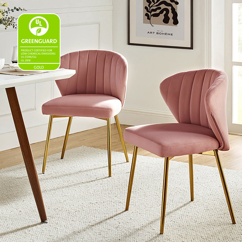 Aruna Side Chair Set - Modern Dining Chairs for Kitchen, Living Room & Office - 2-Piece Wooden Accent Chairs with Cushion - Perfect for Small Spaces, Breakfast Nook & Home Decor