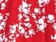 Hot Red White Floral