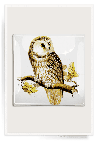 Handmade Sweet Owl Decoupage Glass Serving Tray - Vintage Floral Decorated Tea Tray for Home Decor, Gift Giving & Party Serving - Perfect for Afternoon Tea, Coffee Break and Dessert Presentation
