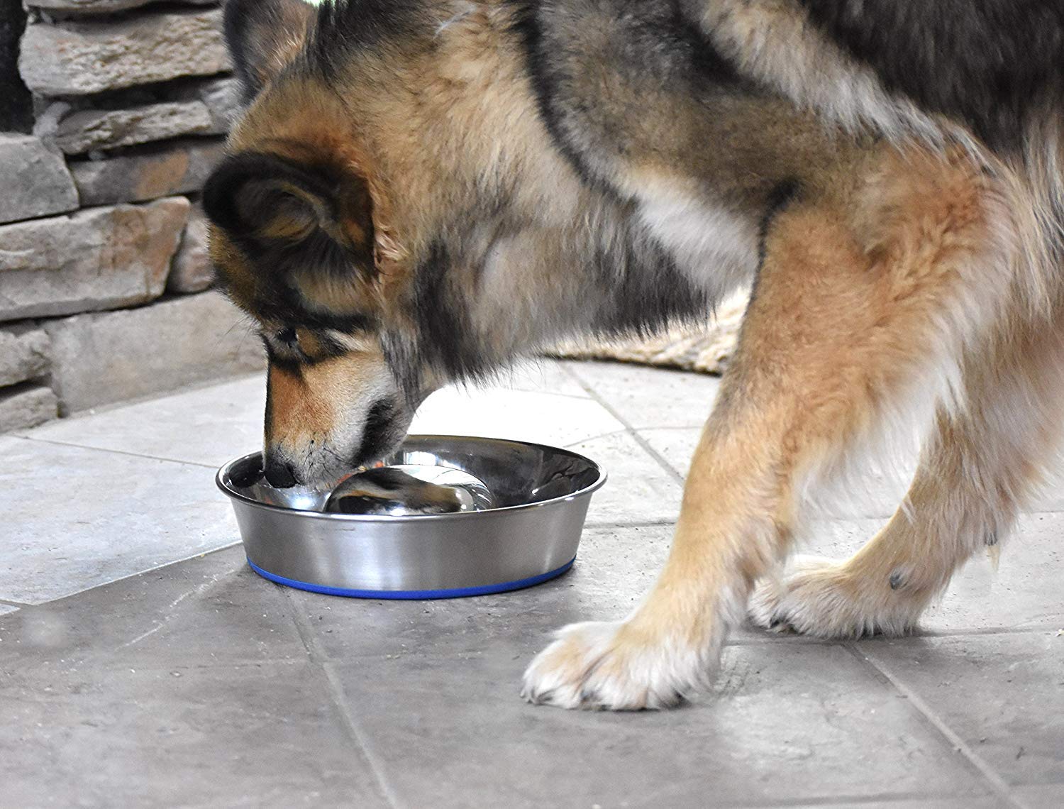 DuraPet Slow Feed Stainless Steel Dog Bowl for Small & Large Dogs - Anti-Gulping Pet Food Bowl for Fast Eaters - Silver (2040010301) - Perfect for Mealtime Portion Control & Digestive Health