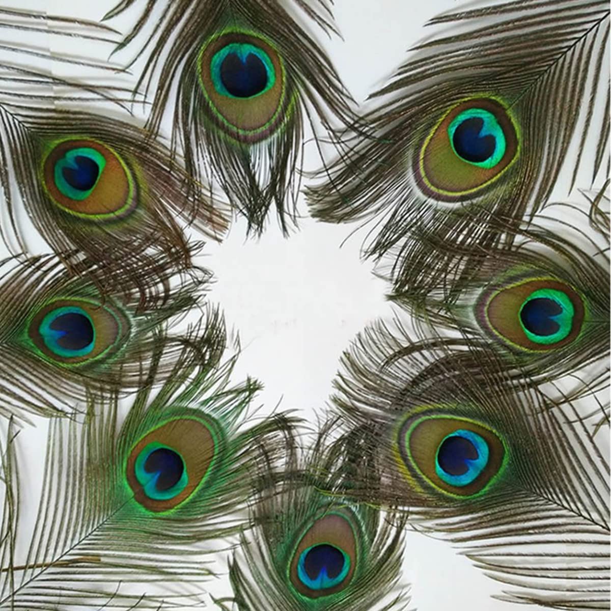 10 Pcs Natural Peacock Feathers with Eyes - Long Tail Feathers for DIY Crafts, Home Decor, Wedding Centerpieces & Bohemian Room Decoration