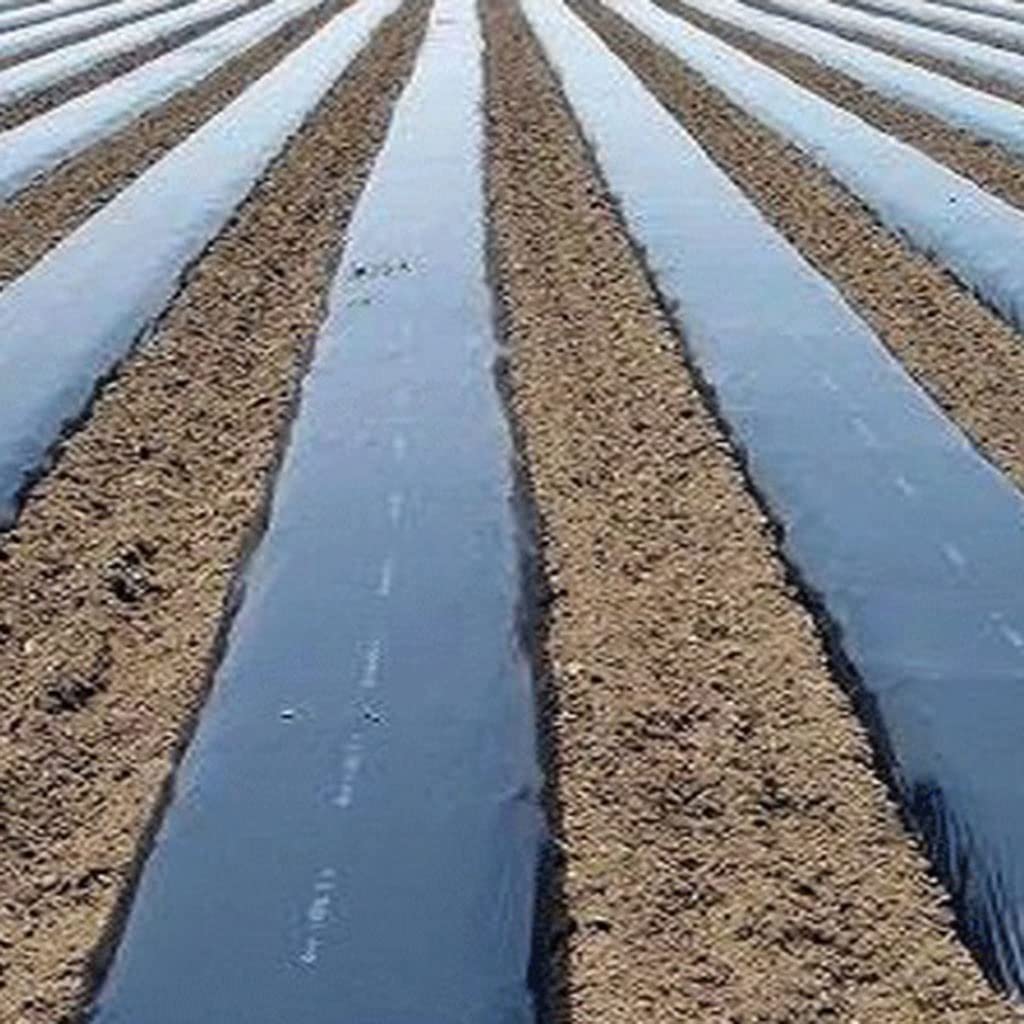Premium Black PE Plastic Mulch Film for Agricultural Greenhouse, Garden & Fruit Trees - Weed Control, Warmth & Waterproof (60cm Wide x 0.8mm Thick x 1000m Long) - Ideal for Crop Protection, Soil Temperature Regulation & Moisture Retention in Farming & Gardening