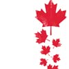 Maple Leaves