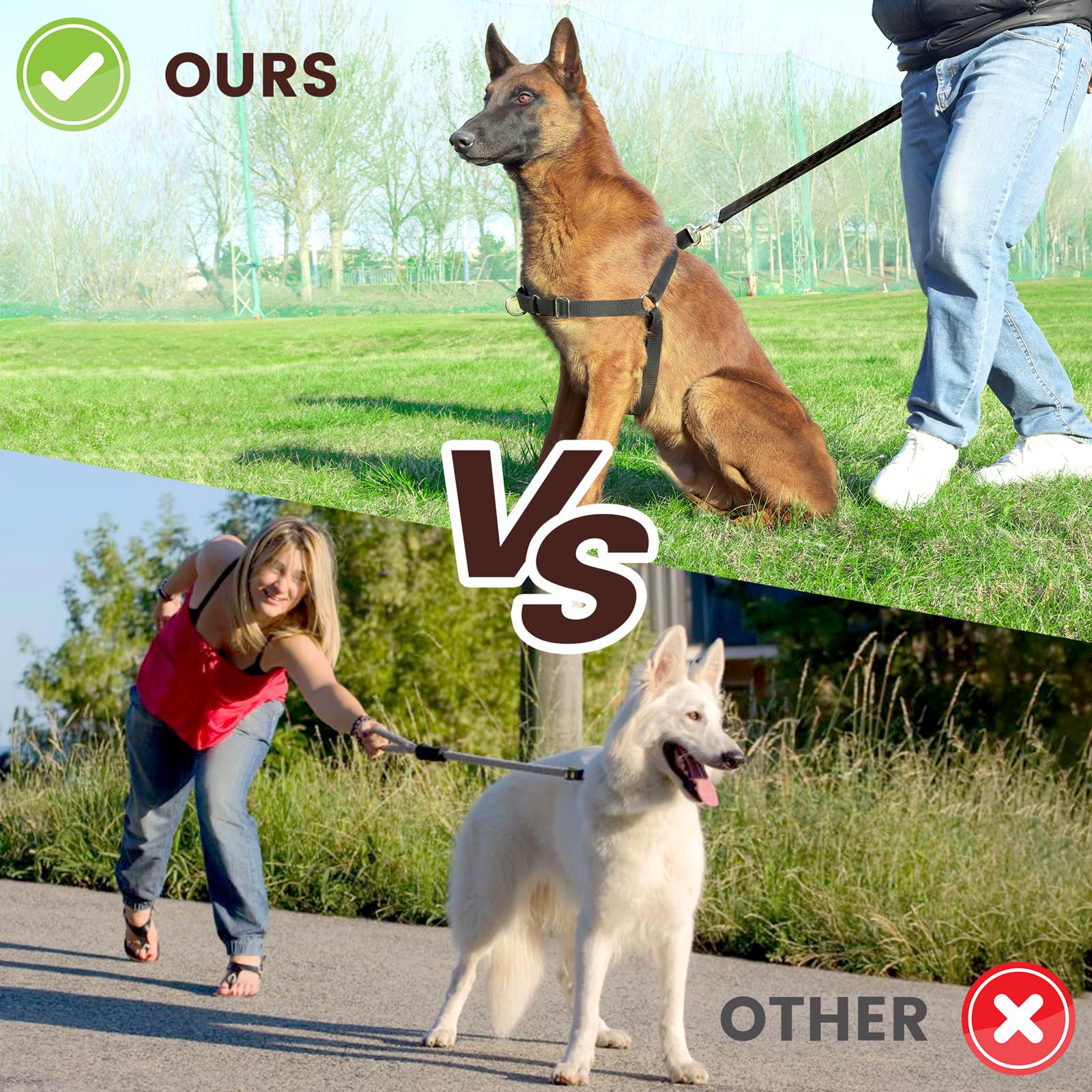 No Pull Dog Harness - Adjustable & Comfortable Walking Harness for Small, Medium & Large Dogs (Large, Black) - Perfect for Training, Hiking & Daily Walks