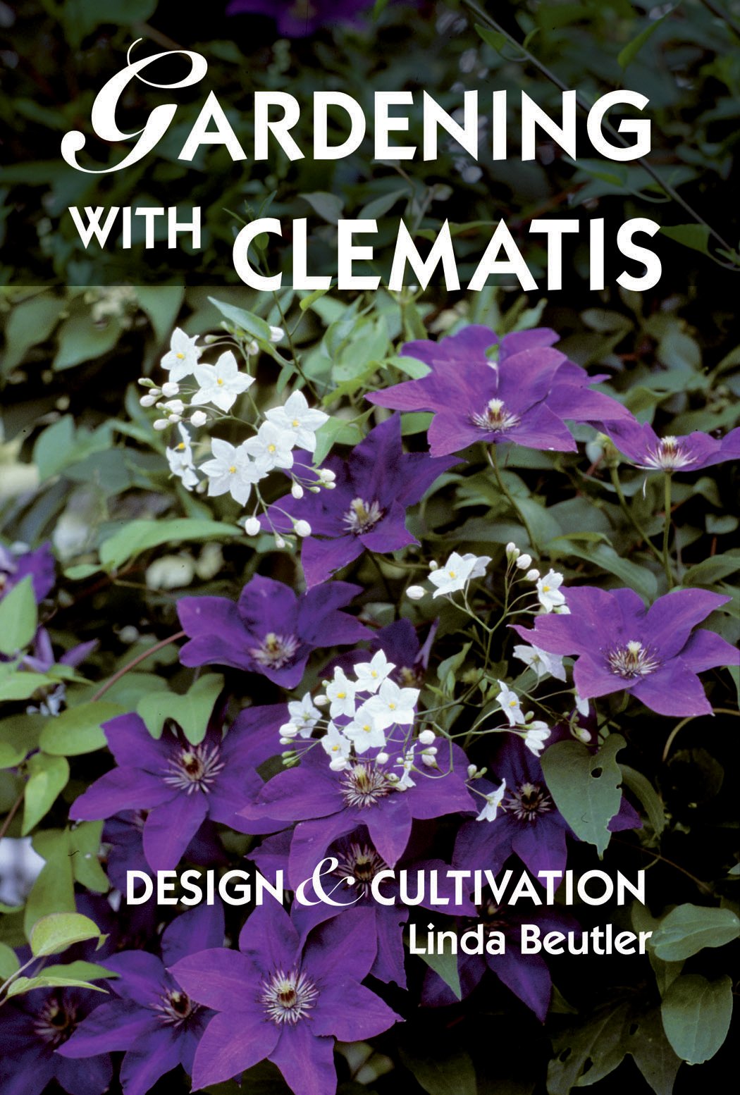 Clematis Gardening Guide: Design, Cultivation & Care Tips for Beautiful Blooms | Perfect for Trellises, Fences & Garden Landscaping