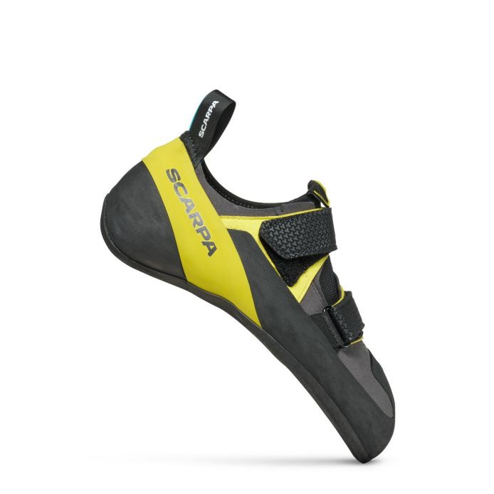 Shark/Yellow
