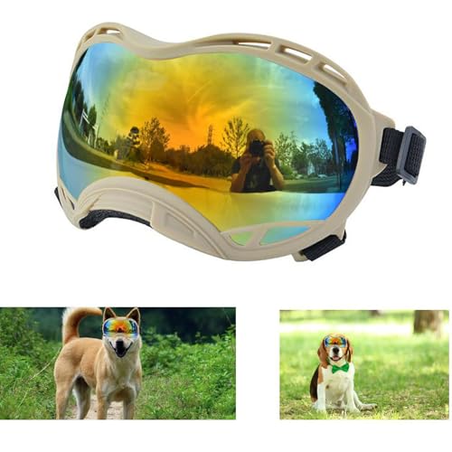 Khaki Frame &Colored Lens/Small