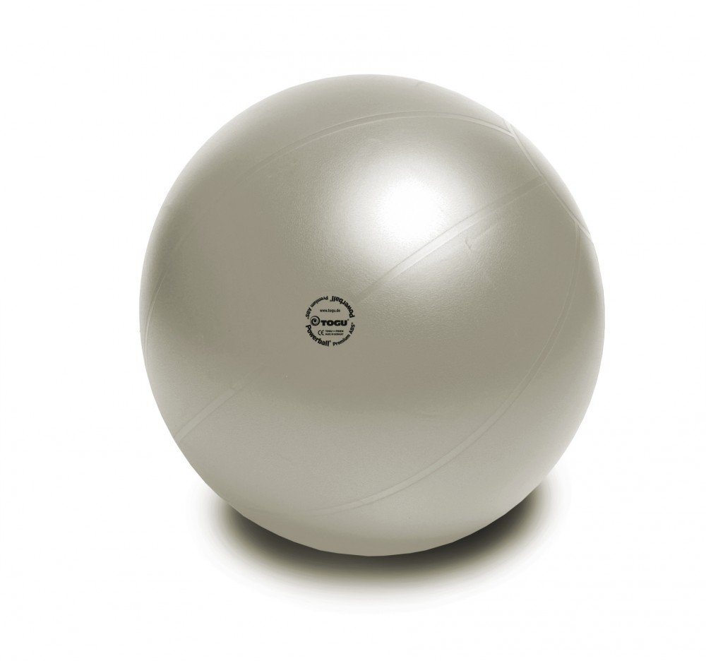 Premium ABS Maternity Exercise Ball - 65cm Anti-Burst Stability Ball for Pregnancy Yoga, Pilates & Home Workouts (Silver) - Perfect for Prenatal Fitness, Postpartum Recovery & Office Seating