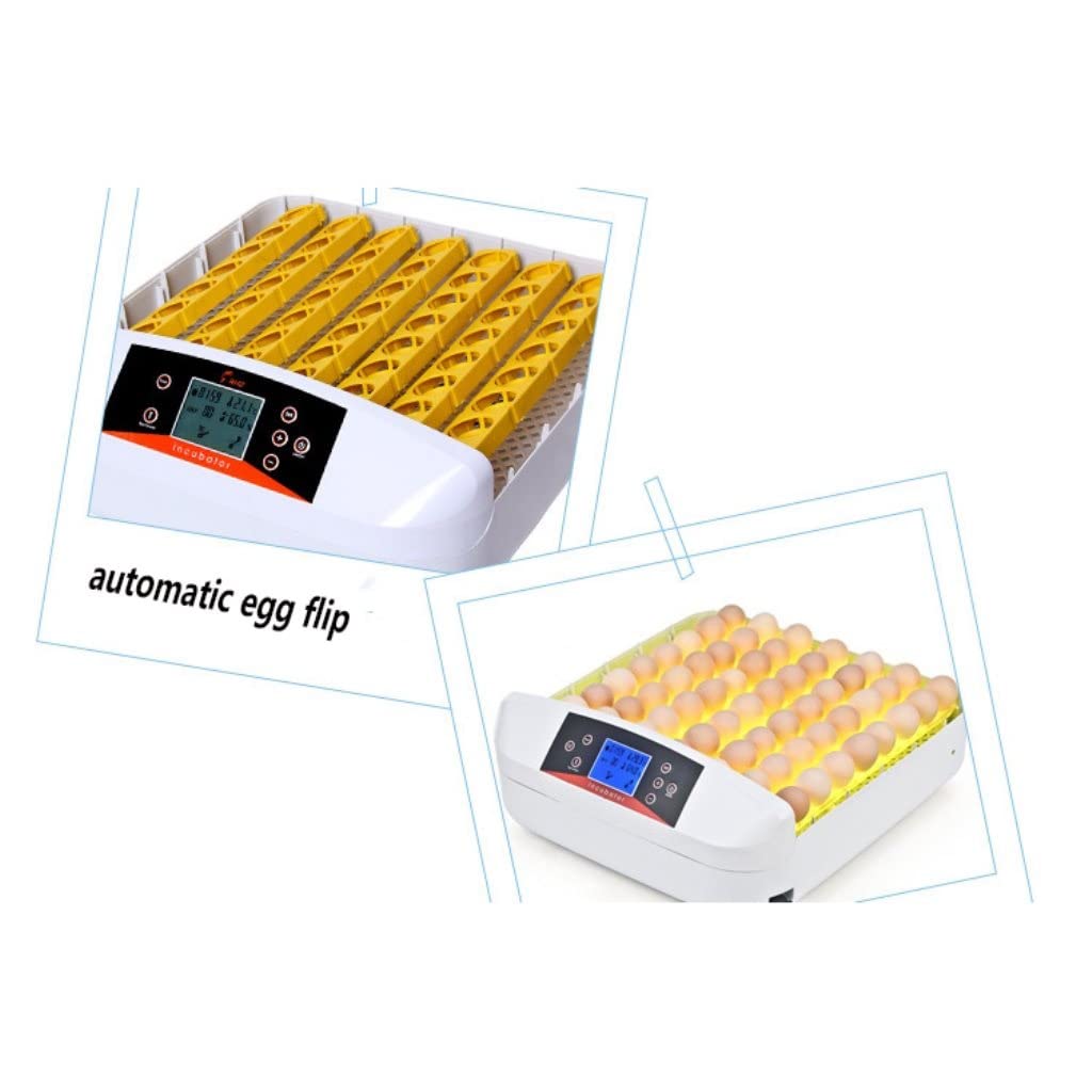 Grafken 56 Egg Chicken Incubator with Automatic Temperature Control & Egg Turner, Digital Humidity Display - Ideal for Hatching Chicken, Duck, Quail Eggs (Perfect for Small Farms, Backyard Poultry, and Egg Hatching Businesses)