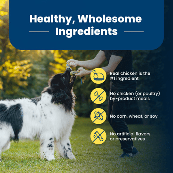 BLUE Life Protection Formula Healthy Weight Dry Dog Food - Chicken & Brown Rice Recipe for Adult Dogs | High Protein, Grain-Inclusive Kibble for Weight Management | Perfect for Indoor & Less Active Dogs