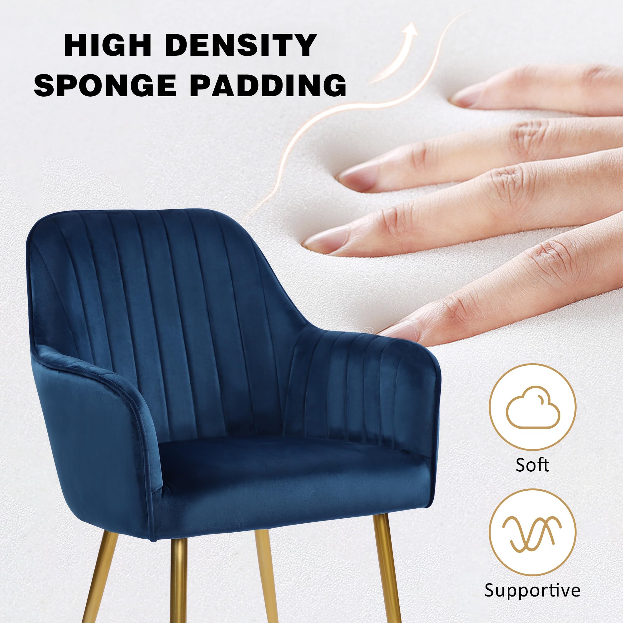 Set of 2 Velvet Upholstered Dining Chairs with Gold Metal Legs - Luxurious Accent Chairs for Living Room, Bedroom or Dining Area (Blue) - Perfect for Home Decor, Entertaining Guests & Cozy Seating
