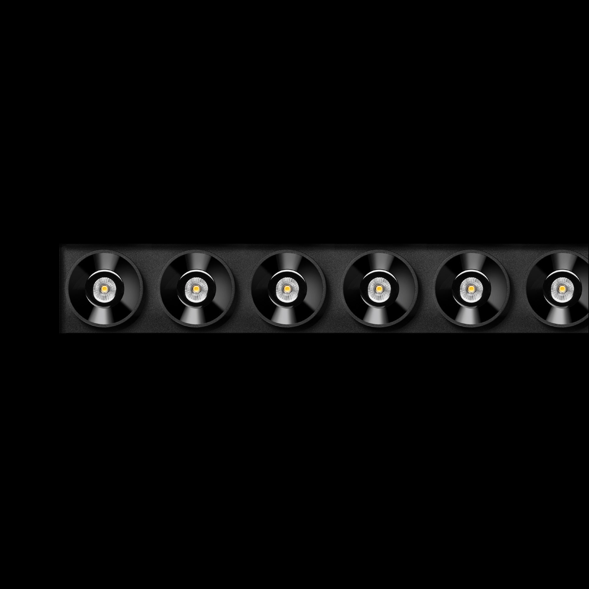 Matt Black Metallized Gold