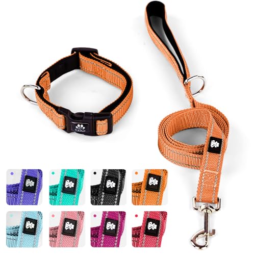 Orange Collar+Leash