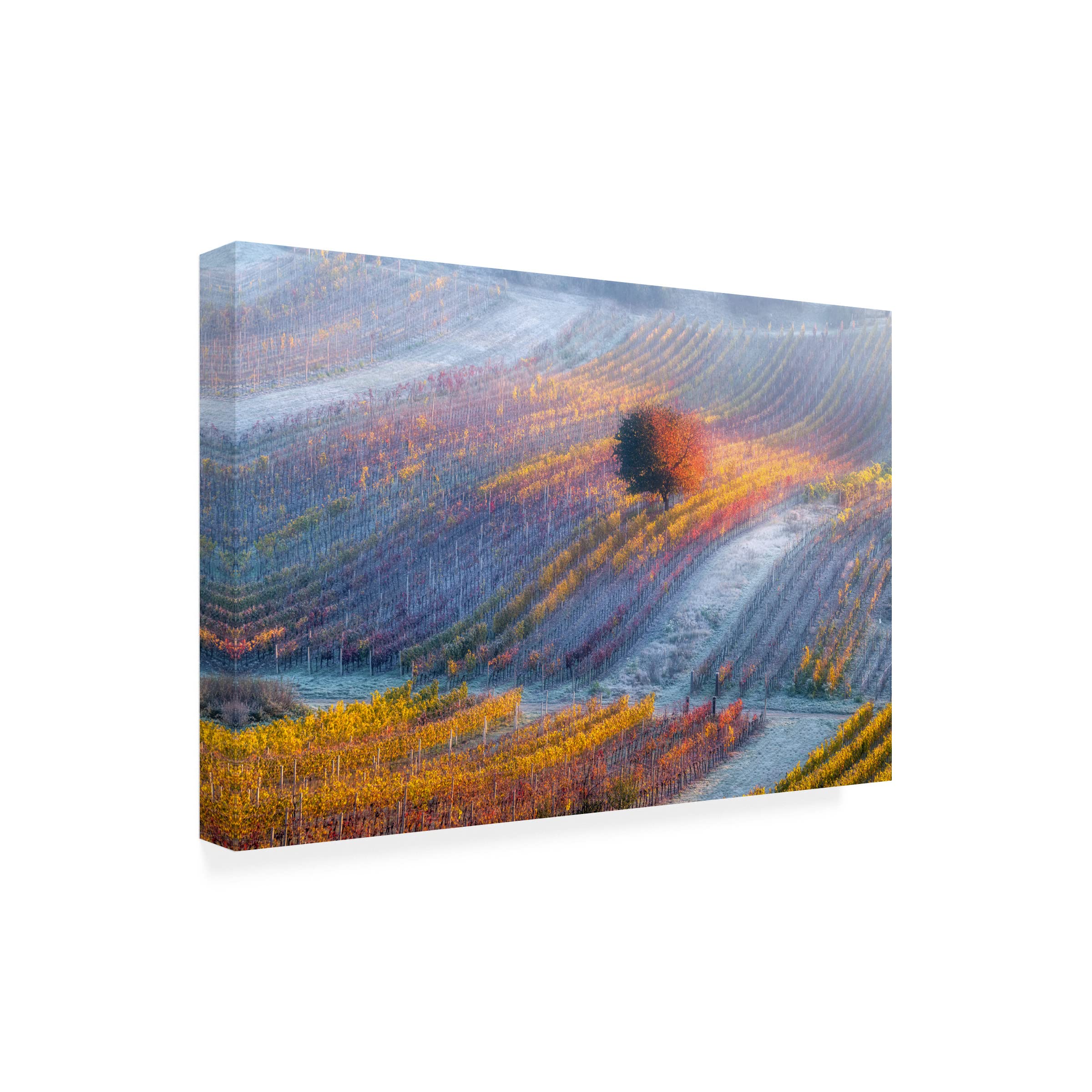 Trademark Fine Art 'Breath Of Winter' Canvas Wall Art Print by Alexandr Kukrinov - Winter Landscape Painting for Living Room, Bedroom & Office Decor