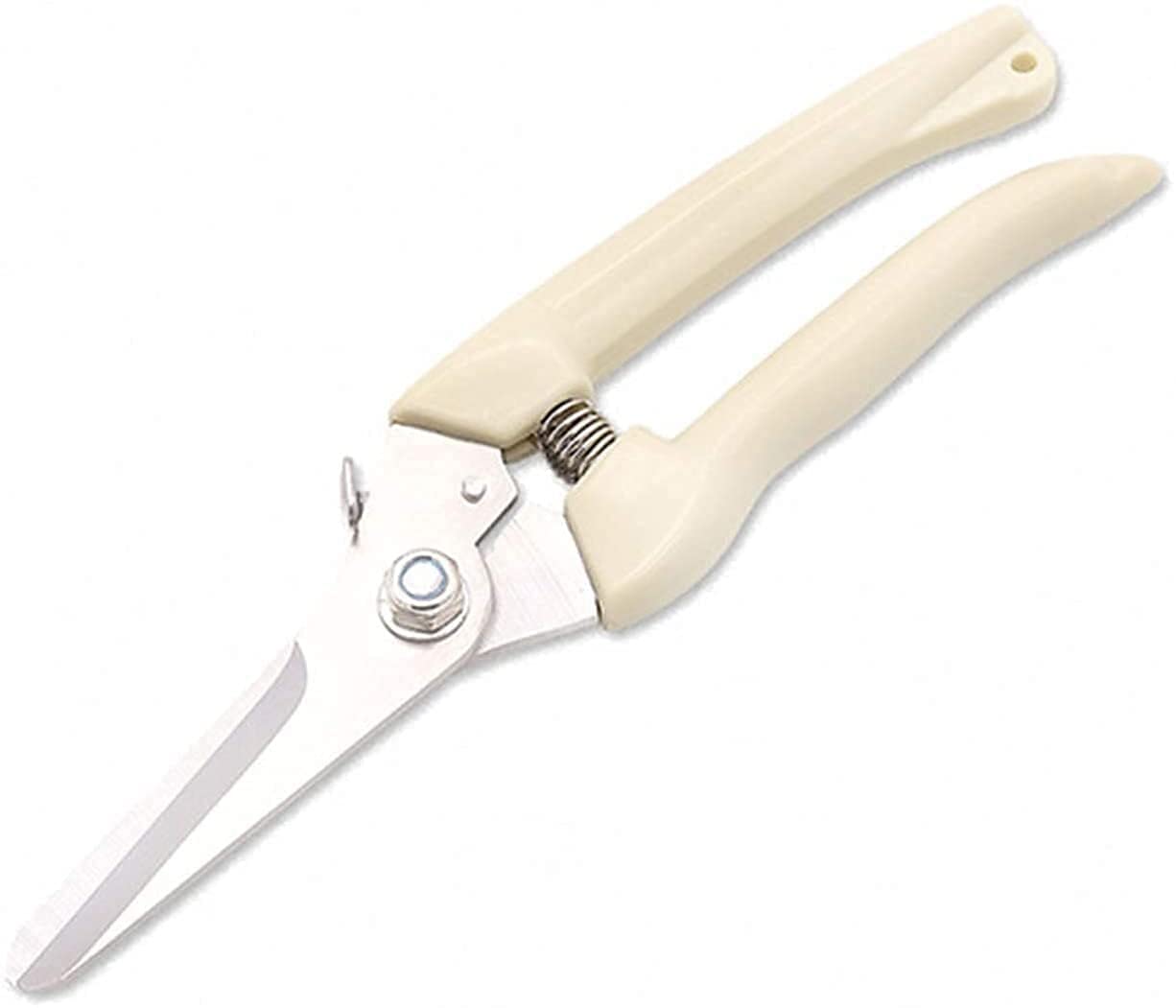Premium Stainless Steel Garden Shears - Professional Pruning Shears for Trees, Plants & Gardening | Heavy Duty Straight Blade Scissors | Ideal for Home Garden, Landscaping & Outdoor Use