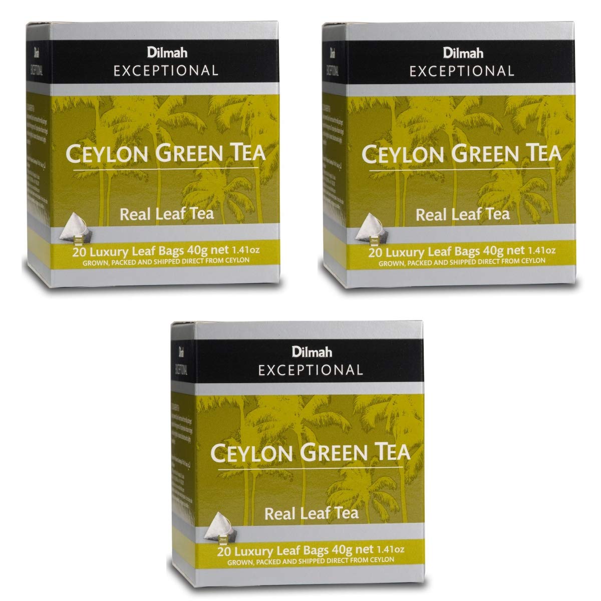 Dilmah Ceylon Green Tea - 60 Tea Bags (3 x 20 Bags) | Premium Pure Ceylon Green Tea in Luxury Leaf Bags | Perfect for Morning Boost, Afternoon Relaxation & Healthy Lifestyle