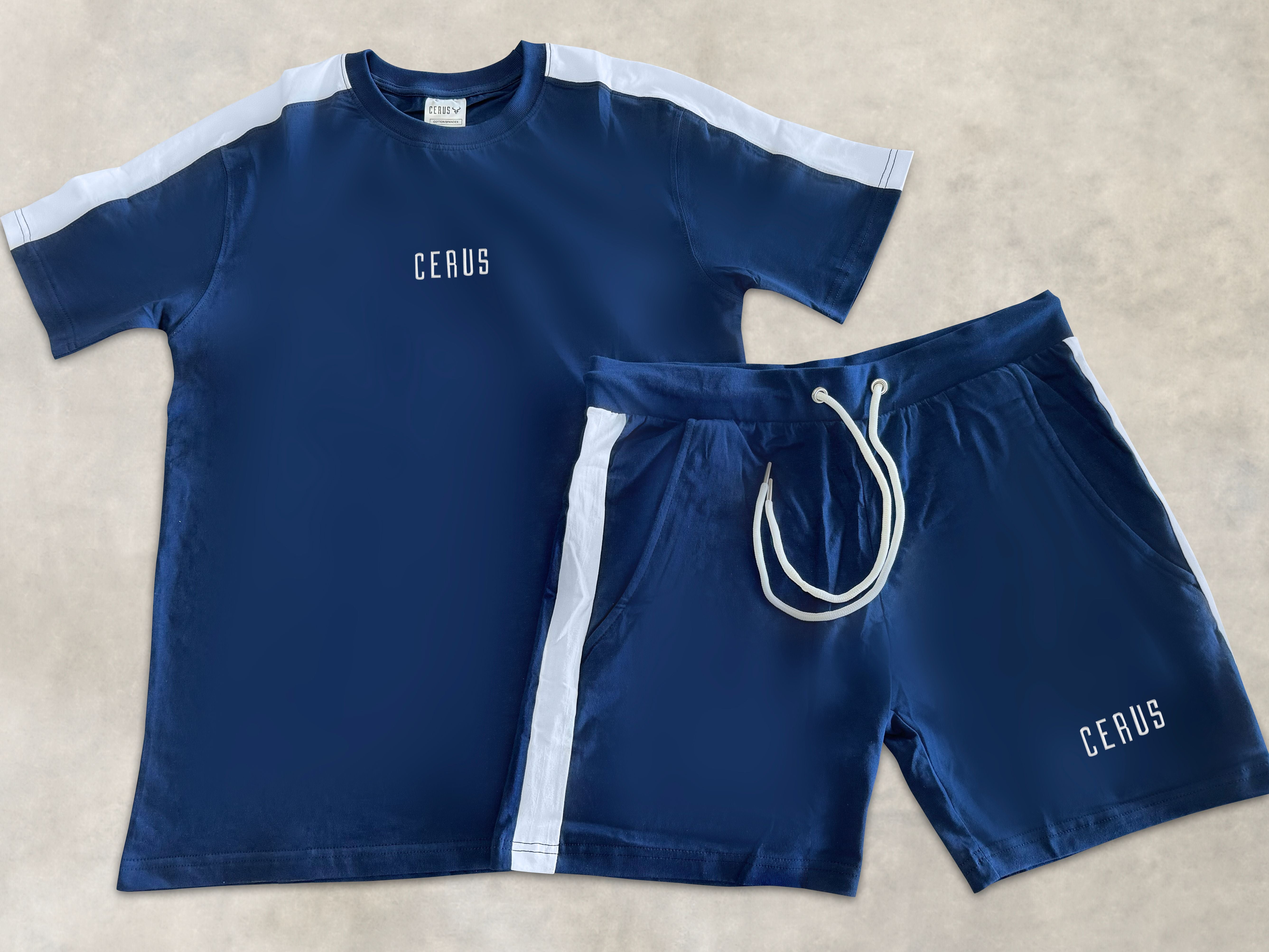 Cerus Navy Alexander T-Shirt for Men - Soft Cotton Casual Tee for Everyday Wear | Perfect for Outdoors, Gym & Street Style