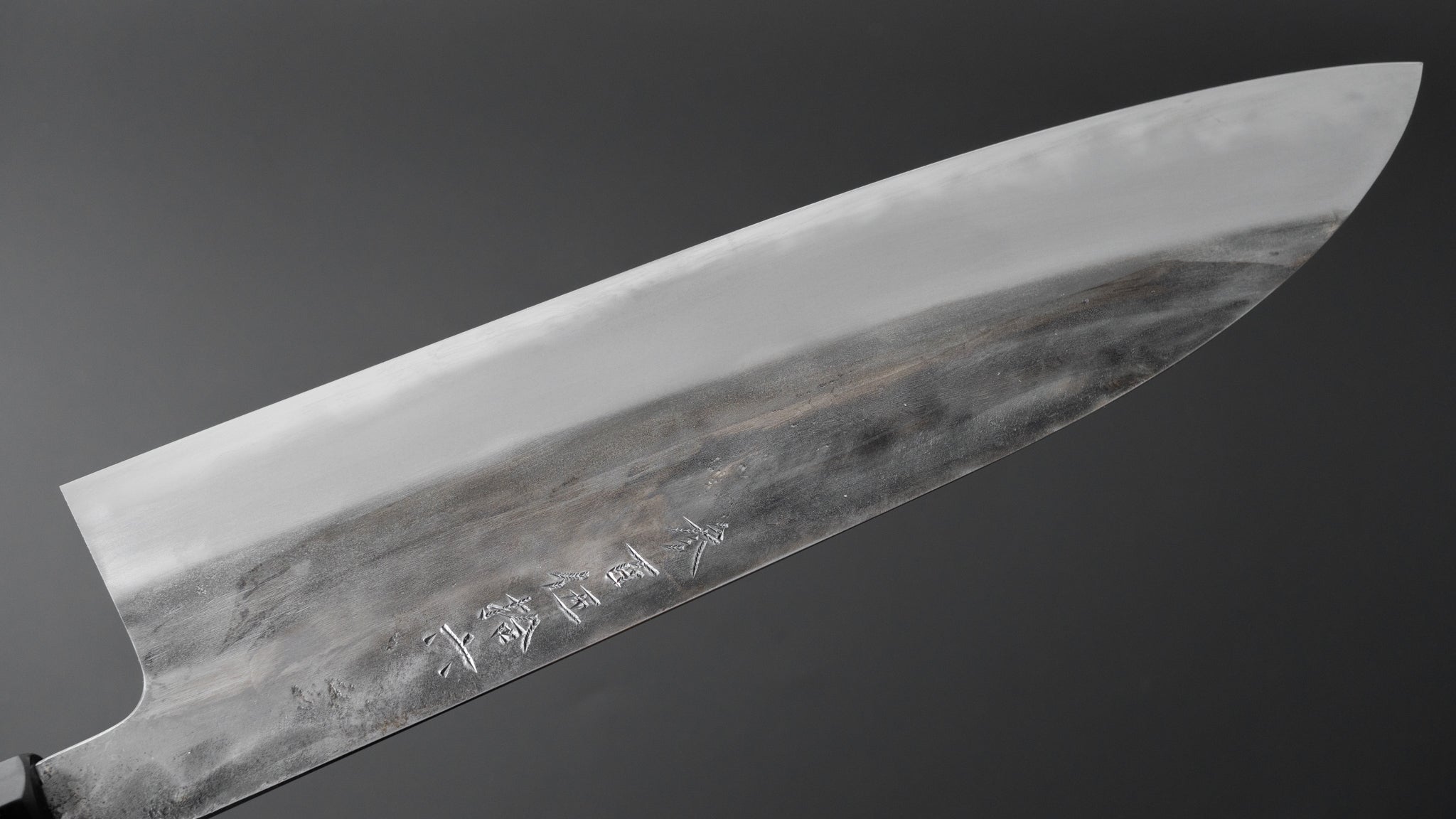 Premium Jiro Tsuchime Wa Gyuto 240mm Japanese Chef Knife with Taihei Tagayasan Handle - Perfect for Sushi, Meat Cutting & Professional Kitchen Use