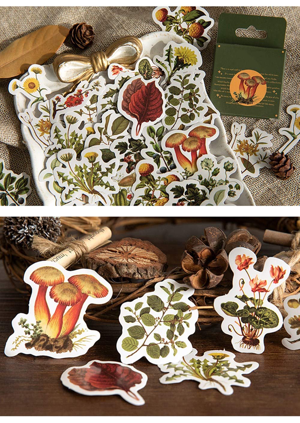 Aesthetic Plant Stickers Set - 92PC Cute Flower & Seasonal Wild Plant Decals for Scrapbooking, Fall Leaves Stickers for Laptop, Phone Case, Kindle, Journal, Planner, DIY Crafts - Perfect for Home Office, School Supplies & Gift Wrapping