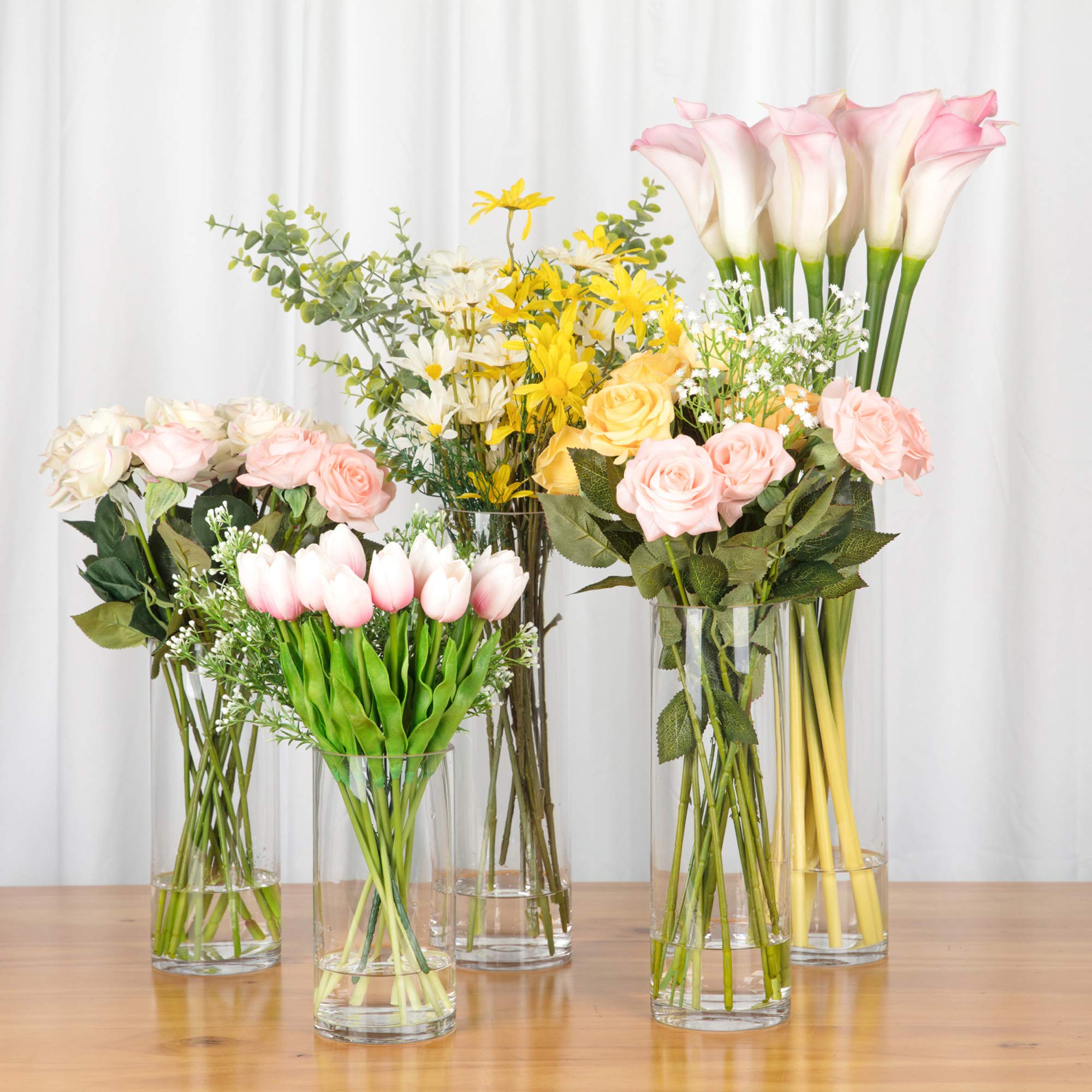 Premium Clear Glass Cylinder Vases - 4