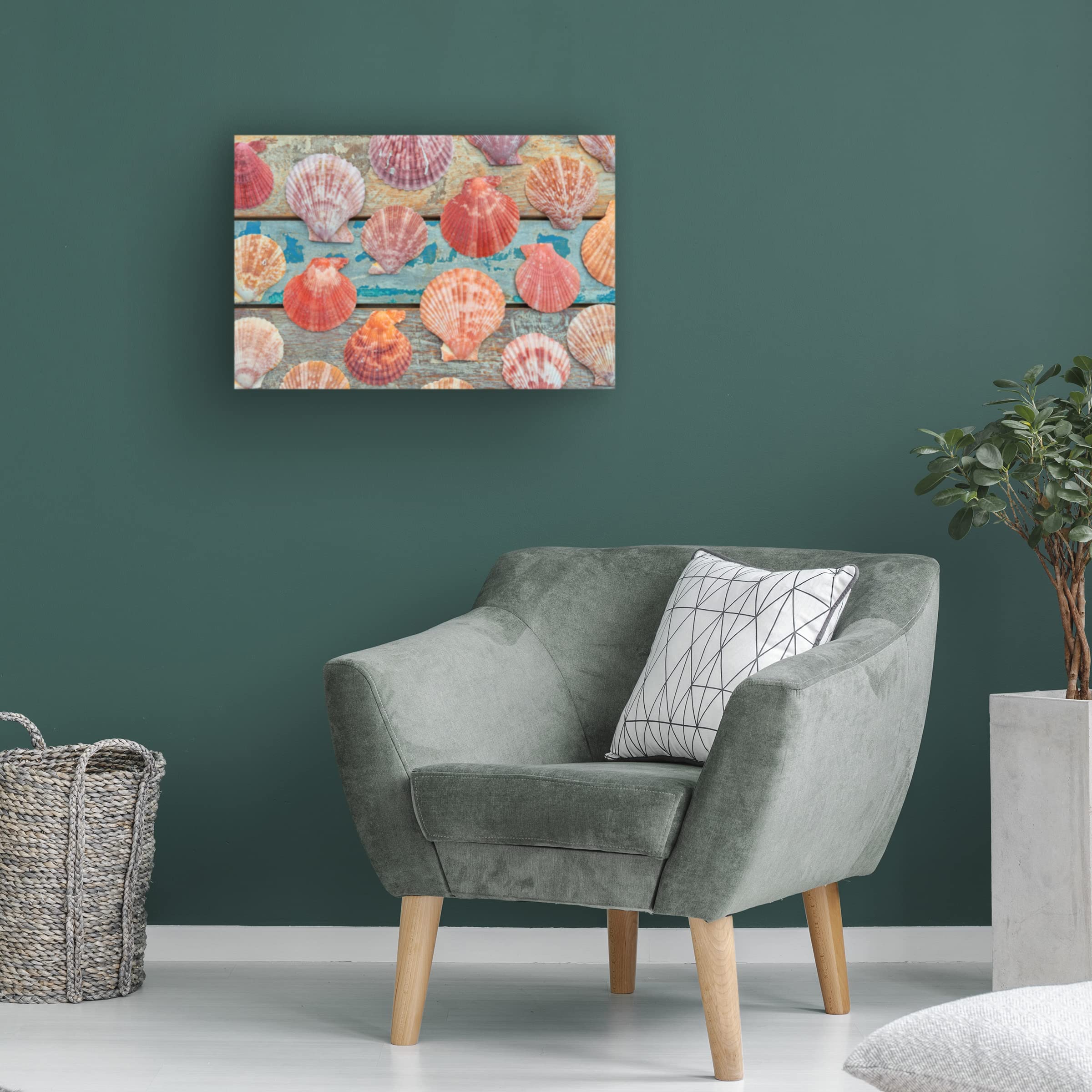 Trademark Fine Art 'Shells on Planks' Canvas Wall Art by Cora Niele - Coastal Beach Decor for Living Room, Bedroom & Office