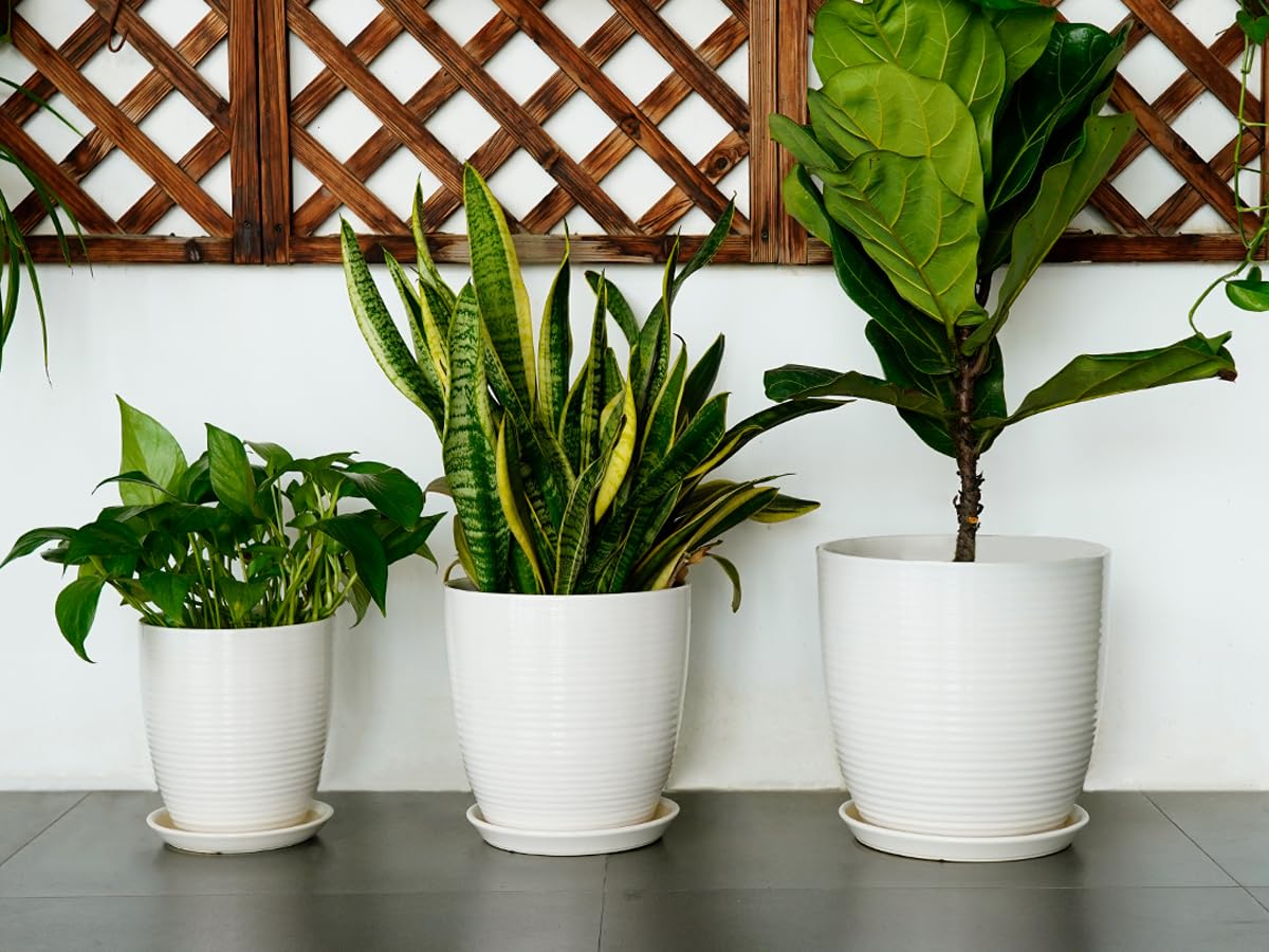 8 Inch White Ceramic Planter Pot with Drainage Hole & Saucer - Modern Round Flower Pot for Indoor & Outdoor Plants - Perfect for Home Decor, Office, Garden, and Patio