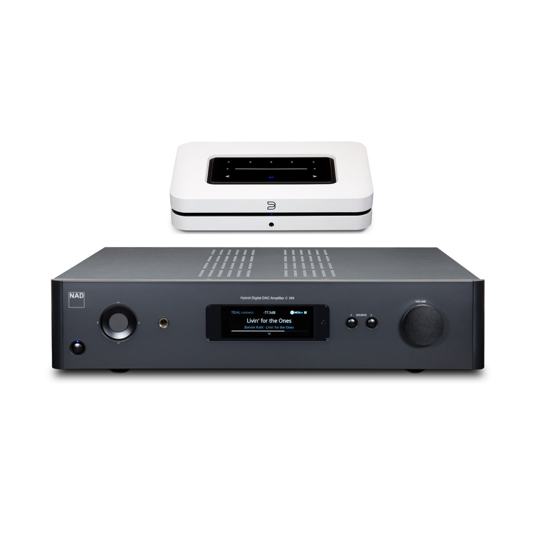 NAD C 389 Integrated Amplifier with Bluesound NODE Wireless Hi-Fi Music Streamer - Premium Audio Bundle for Home Theater & Stereo System