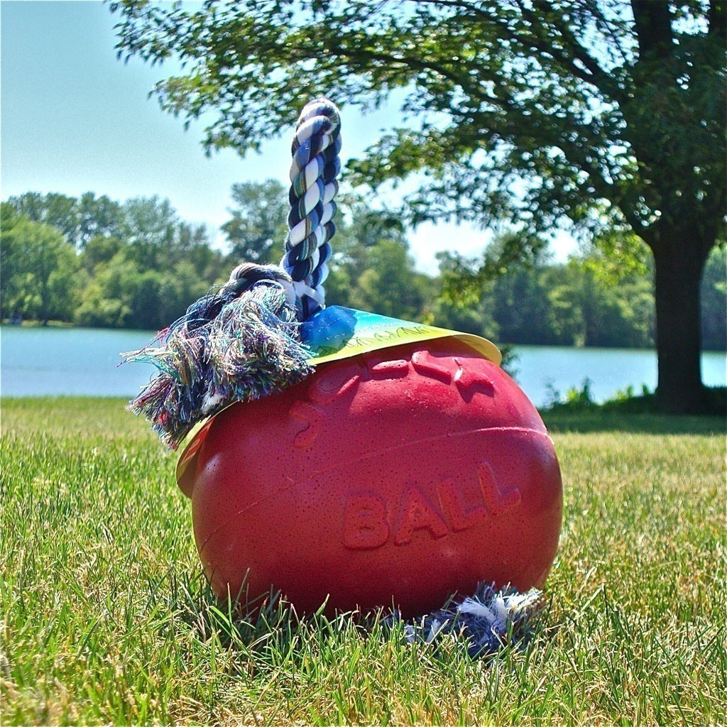 Jolly Pets Romp N Roll Dog Toy - Durable Chew Toy for Large & Small Dogs - Interactive Fetch & Tug-of-War Game - Perfect for Indoor & Outdoor Playtime