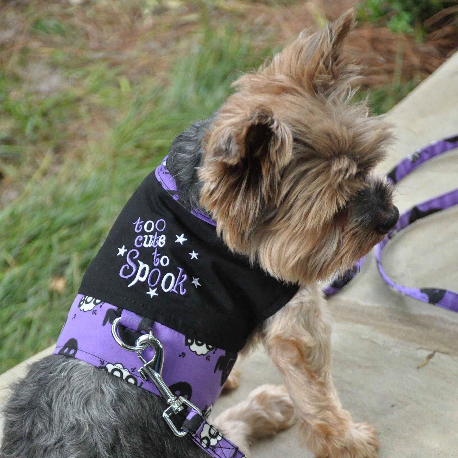 DOGGIE DESIGN Halloween Dog Harness - Adorable & Comfortable Pet Costume for Small to Medium Dogs | Perfect for Halloween Parties, Trick-or-Treating & Pet Photo Shoots
