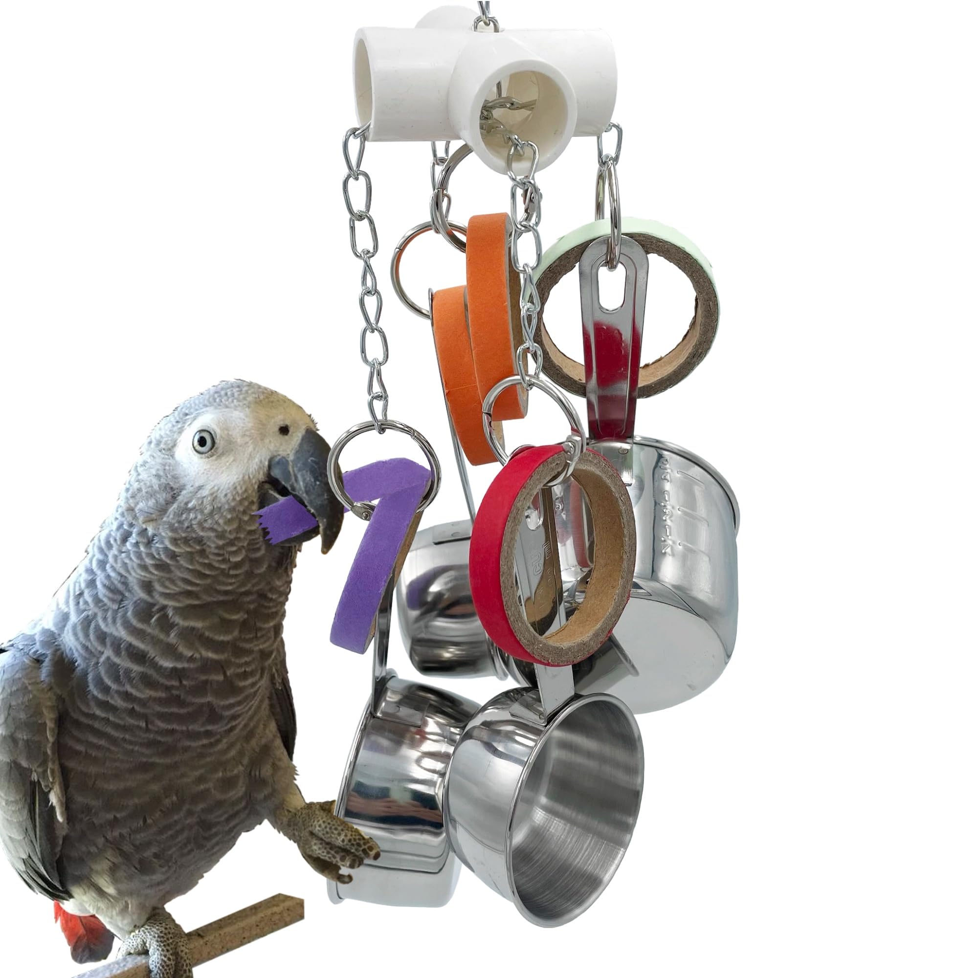 Durable Stainless Steel Bird Toys for Parrots - Pullable Cups & Cardboard Rings for Amazons, Mini Macaws, African Greys, Cockatoos, Eclectus | Interactive Play & Foraging Fun