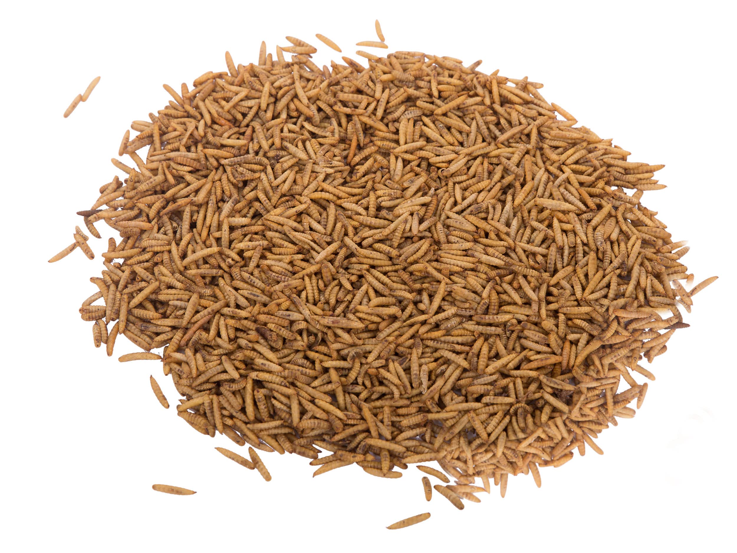 11Lbs Organic Dried Black Soldier Fly Larvae - High Protein & Calcium Snack for Chickens, Wild Birds & Reptiles | North American Grown | Perfect for Laying Hens, Backyard Poultry & Pet Nutrition