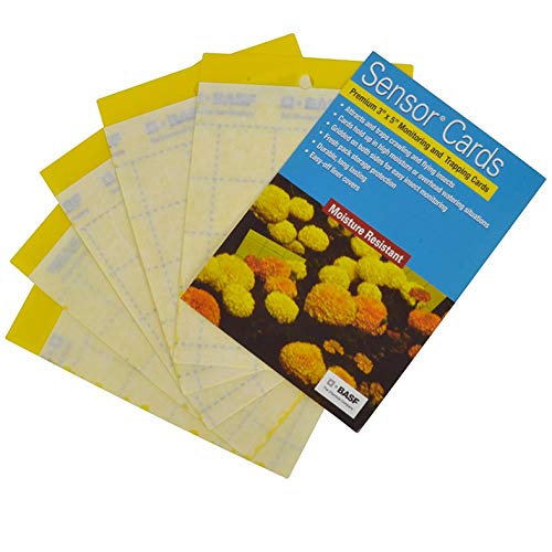 BASF Sensor Cards - Premium 3x5 Inch Monitoring & Trapping Cards (50 Pack) for Home, Office & Warehouse Pest Control | High-Quality Glue Traps for Insects & Rodents