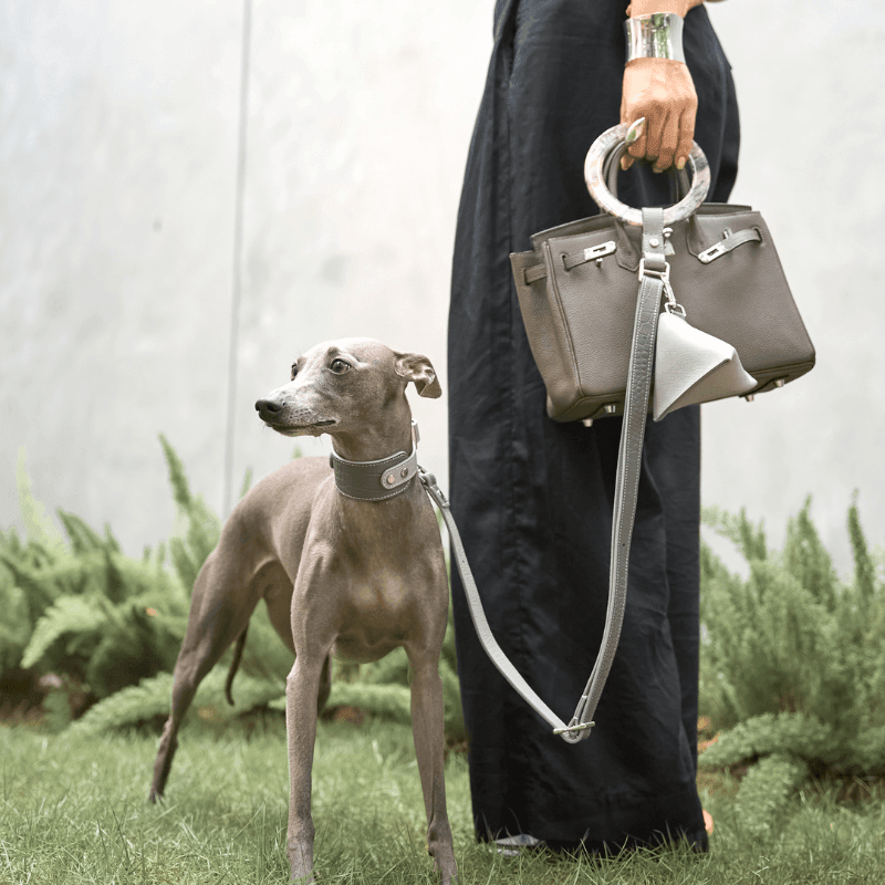 Moonstone Leather Dog Collar - Adjustable & Stylish Pet Collar for Small & Medium Dogs - Perfect for Daily Walks & Outdoor Adventures