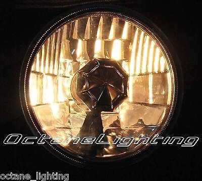 Octane Lighting 5-3/4