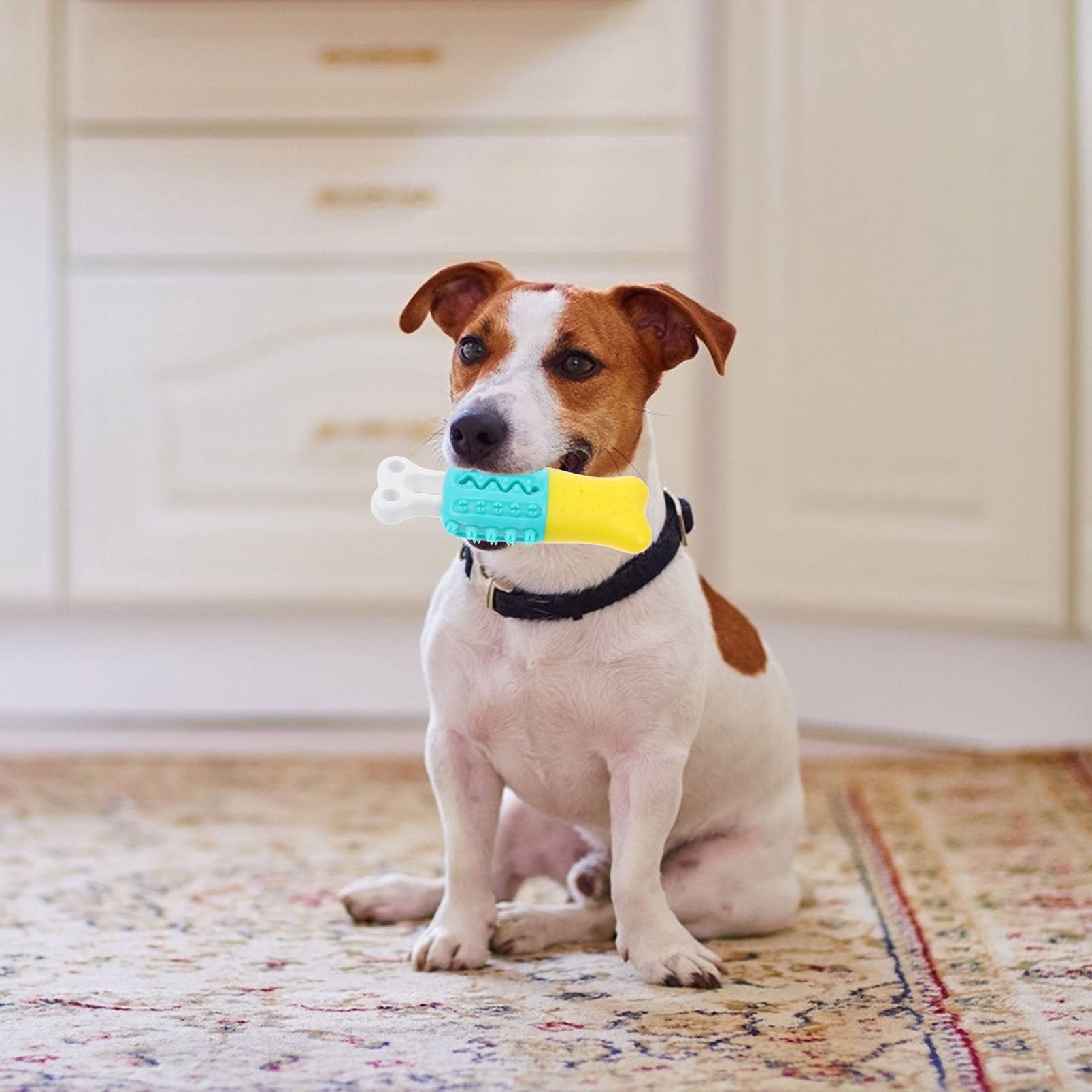 Hemobllo 1pc Puppy Chew Toy - Durable TPR Dog Teeth Cleaning & Grinding Toy for Small Dogs | Dog Toothbrush & Food Feeder | Perfect for Teething, Dental Care & Playtime