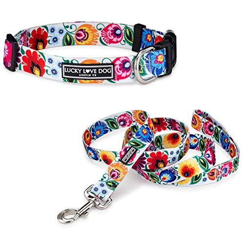 Ladybird Collar/Leash Combo