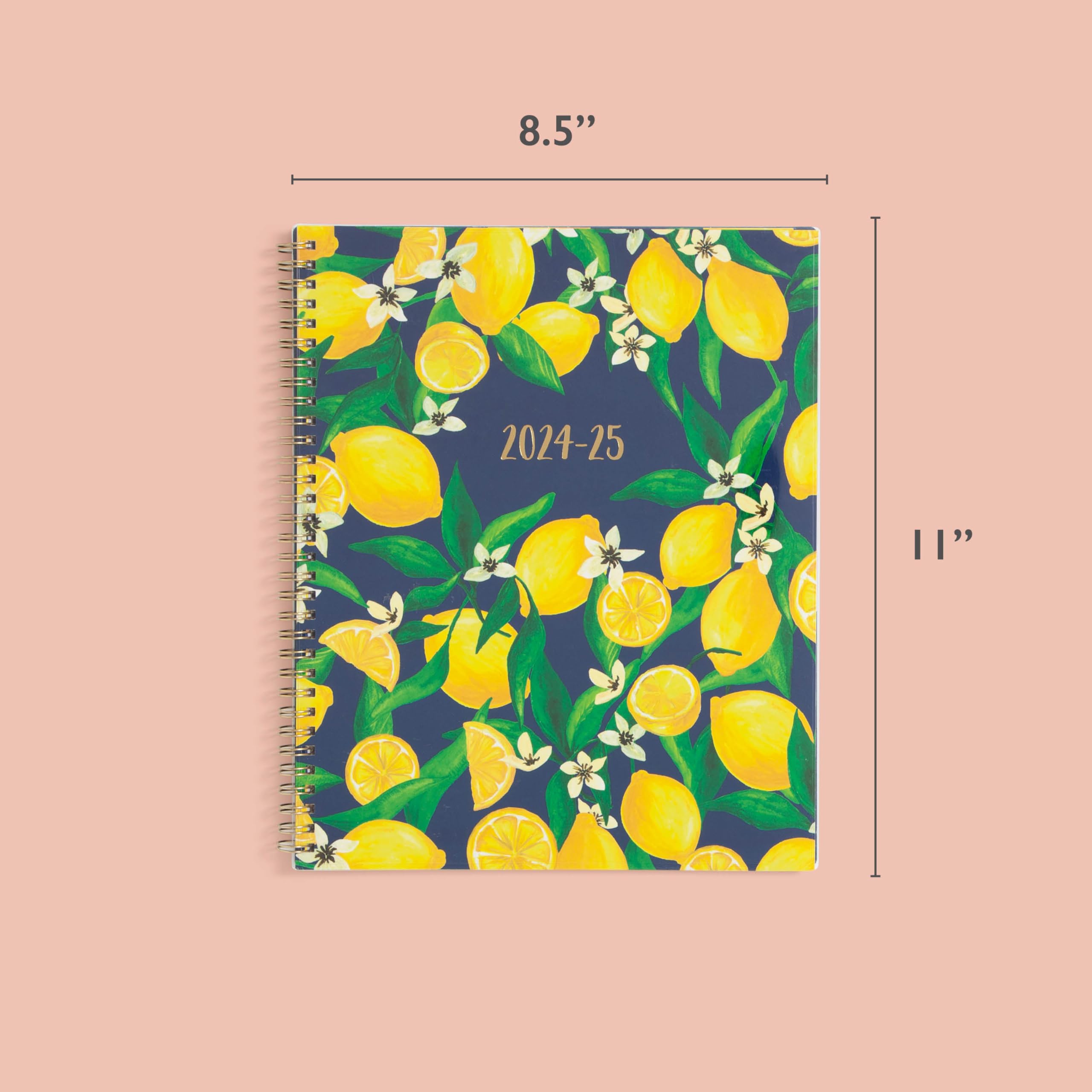 Blue Sky 2024-2025 Teacher Planner - Weekly & Monthly Lesson Organizer, 8.5