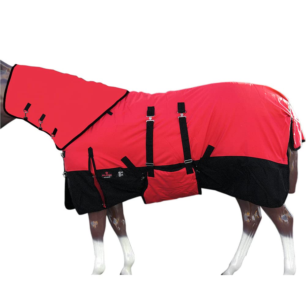 HILASON 1200D Waterproof Winter Horse Blanket with Neck Cover & Belly Wrap - Heavy Duty Turnout Blanket for Cold Weather - 84 Inch Size - Ideal for Pasture, Stable & Riding in Rain & Snow