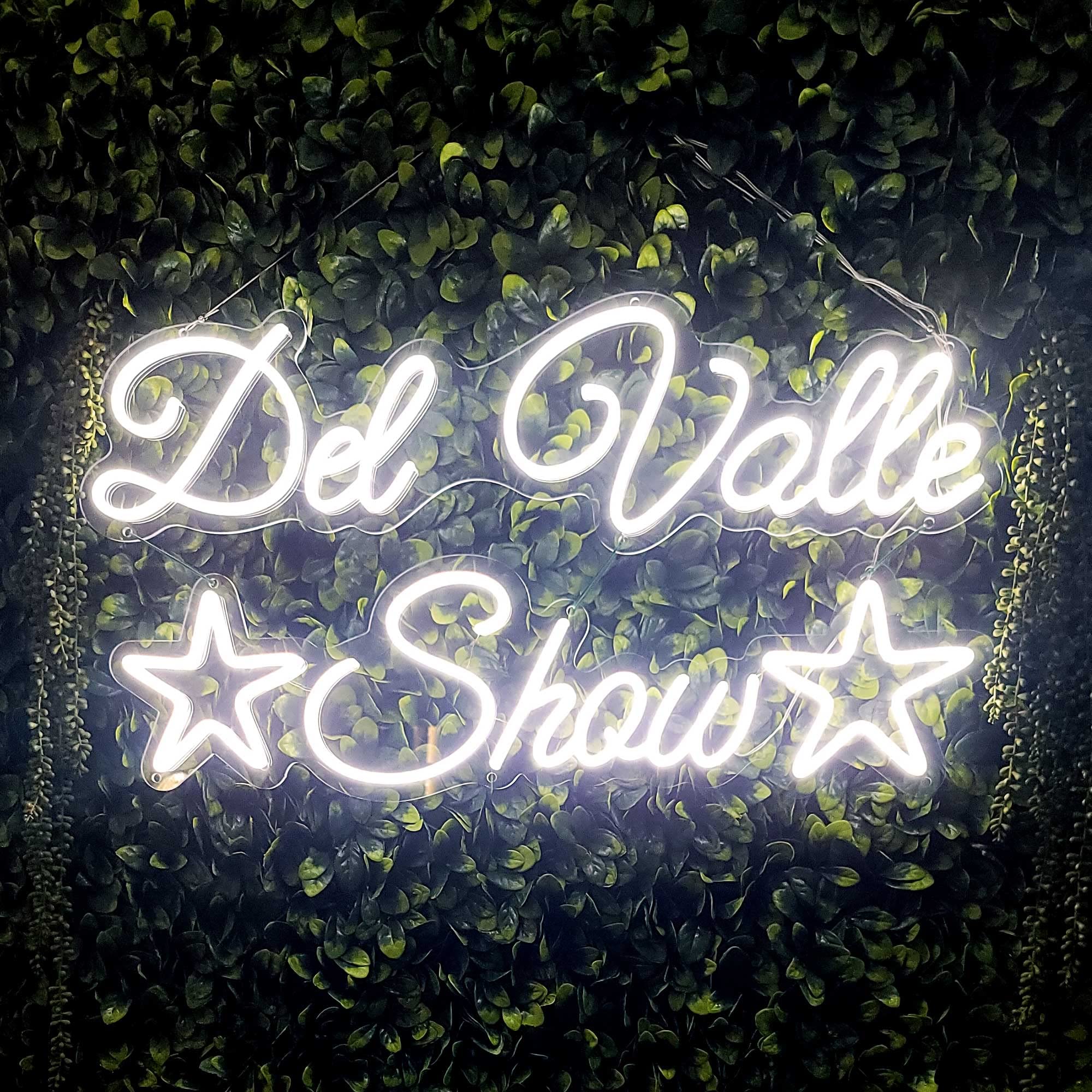 Custom LED Neon Signs - Personalized Name & Logo Neon Lights for Weddings, Birthdays, Home Decor - Bedroom, Living Room, Game Room, Bar Wall Art - Perfect Mother's Day Gift & Party Decoration