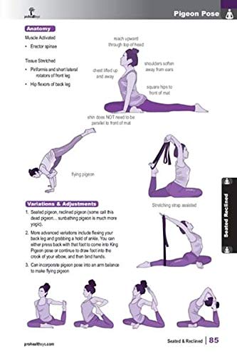 Evidence-Informed Yoga Book: A Comprehensive Guide for Mind-Body Wellness | Perfect for Yoga Teachers, Students & Home Practitioners