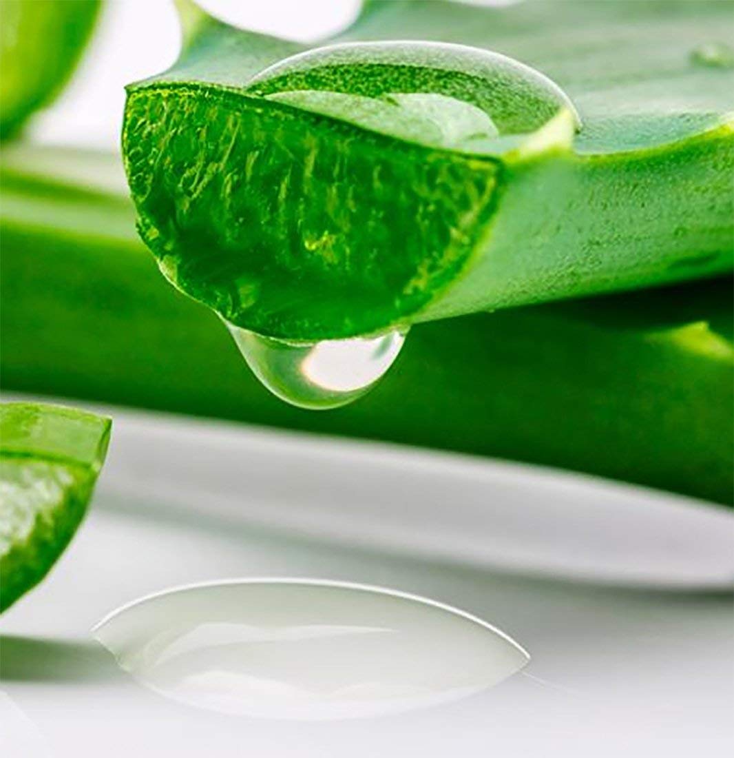 Aloe Vera Gel with Menthol - Sun Labs After Sun Care Gel 8 fl oz | Soothing Moisturizer for Sunburn Relief, Hydrates & Cools Skin for Face & Body - Perfect for Post-Sun Exposure, Tanning, and Daily Skin Care