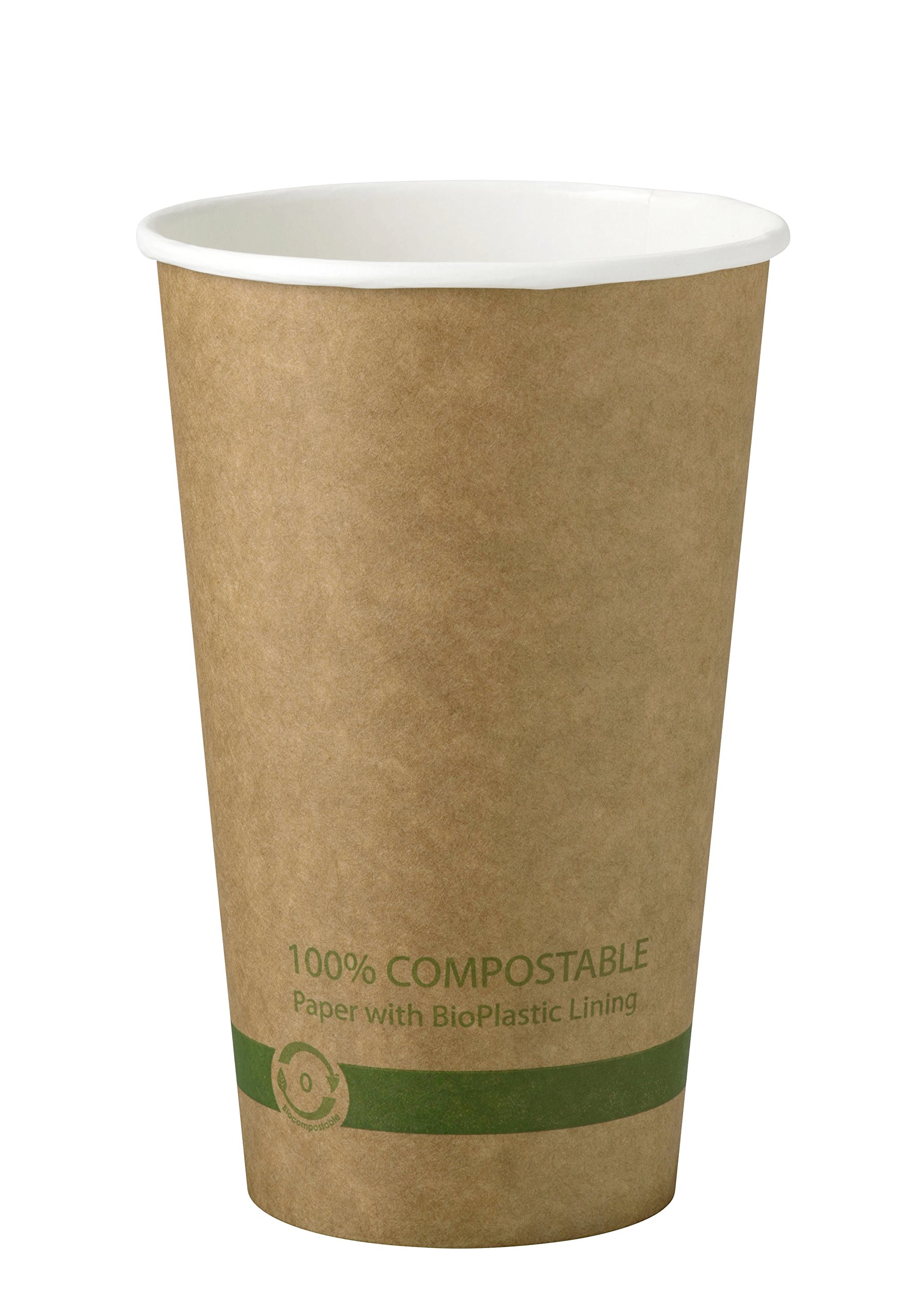 World Centric 100% Compostable Paper Hot Cups - 16oz (1000 Pack) | FSC Certified, Plant-Based Bio Lining | Eco-Friendly Disposable Cups for Coffee, Tea & Hot Beverages | Perfect for Offices, Cafes & Events