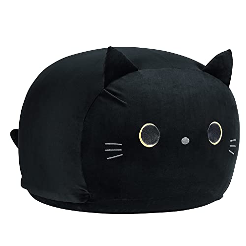 Kitten Black