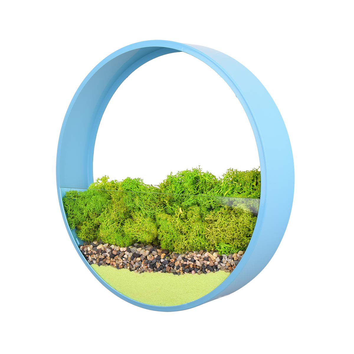 Ecosides 12