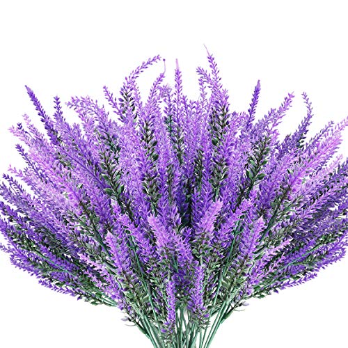 Classic Purple