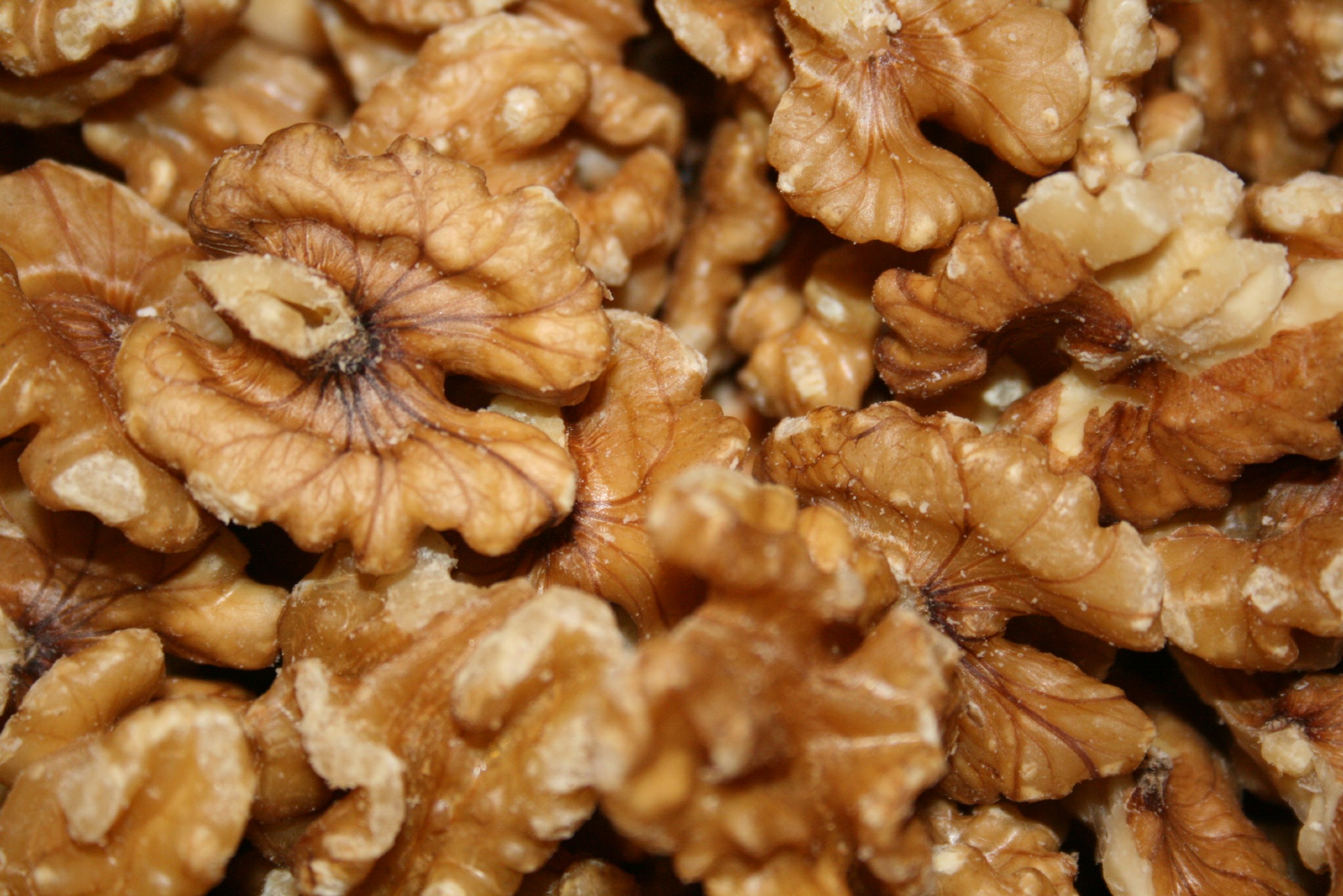Premium Raw Walnut Halves & Pieces - 10lb Bulk Bag | Organic, Unsalted, Non-GMO | Perfect for Baking, Snacking & Healthy Recipes