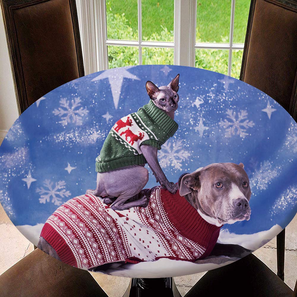Elastic Edged Polyester Fitted Table Cover - Pitbull & Sphynx Holiday Portrait Design - Perfect for 43
