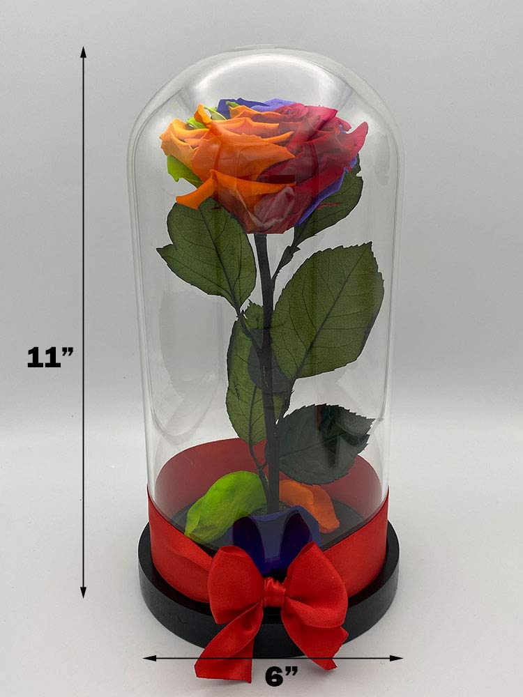 Forever Rose in Glass Dome - Handmade Preserved Real Rose, Long Lasting Beauty & the Beast Inspired Gift (Rainbow, Large Size) - Perfect for Mother's Day, Birthday, Anniversary, Valentine's Day, Proposal & Get Well Presents - Home Decor, Wedding Centerpiece & Romantic Gift Idea