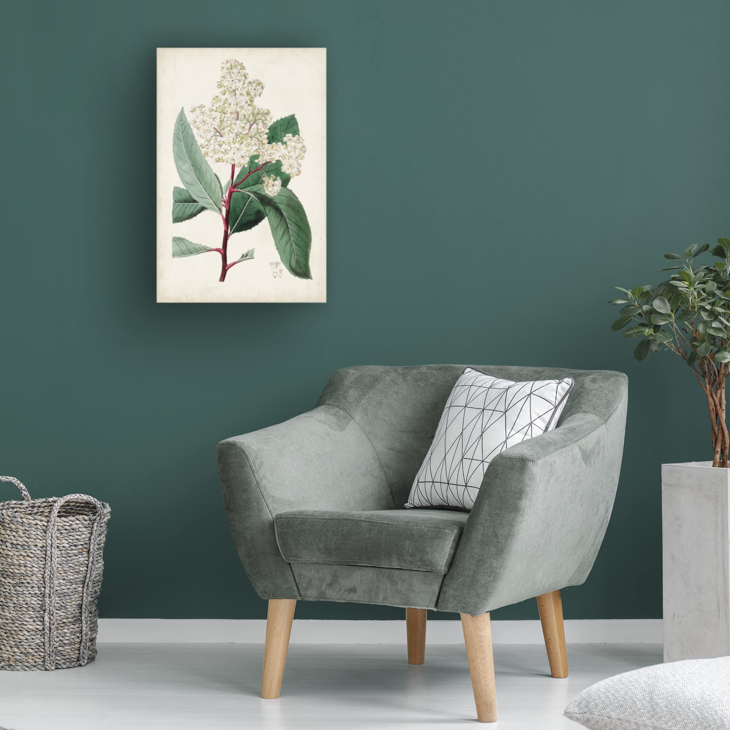 Trademark Fine Art 'Garden Gems X' by Curtis - Premium Canvas Wall Art for Home & Office Decor | Perfect for Living Room, Bedroom & Office Spaces